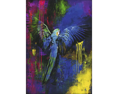 Leinwandbild Original Colourful Parrot 70x100 cm