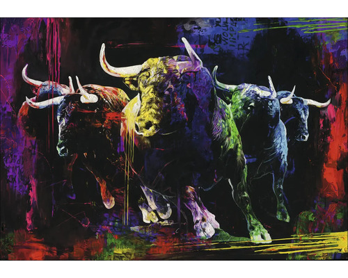 Leinwandbild Original Colourful Bulls III 100x70 cm