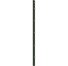 Poteaux 6 x 4 x 240 cm pour clôture de 183 cm de hauteur RAL 6005 vert mousse
