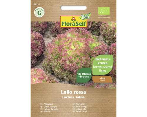 Bio Schnittsalat/Pflücksalat Lollo rossa FloraSelf Bio Samenfestes Saatgut Salatsamen