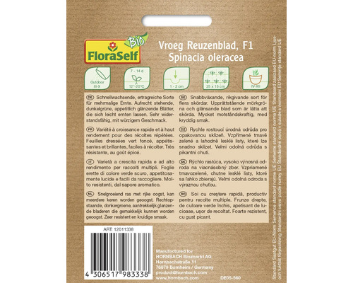 Sachet de graines d''épinards Reuzenblad, adapté à la culture en extérieur
