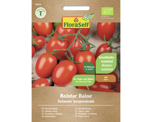 Tomate cerise FloraSelf Bio graines de légumes