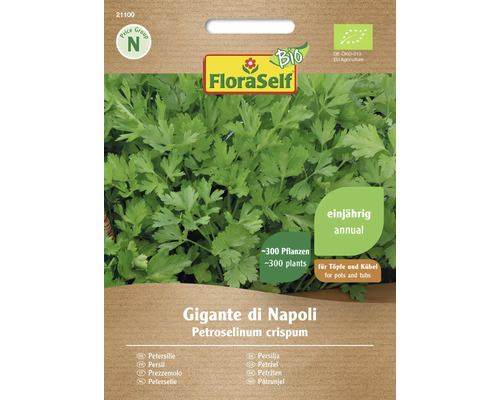 Persil bio Gigante di Napoli FloraSelf Bio graines fixées graines de fines herbes