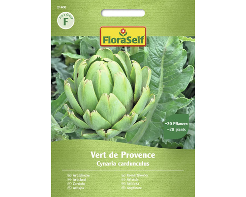 Artichaut Vert de Provence FloraSelf graines fixées graines de légumes