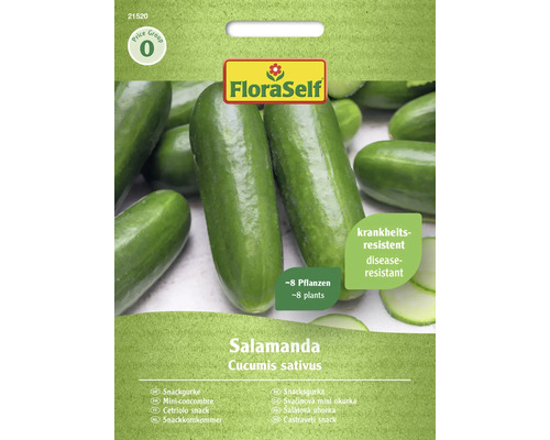 Snackgurke Salamanda FloraSelf F1 Hybride Gemüsesamen