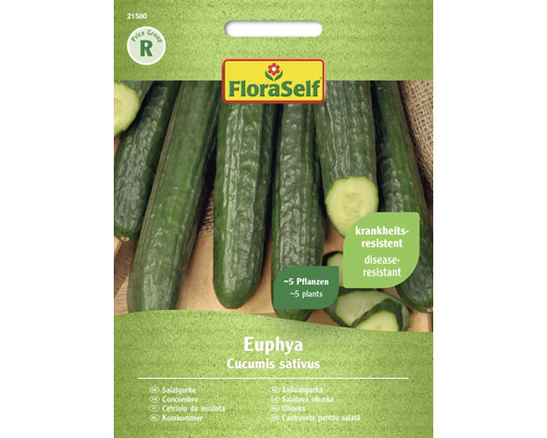 Salatgurke Euphya FloraSelf F1 Hybride Gemüsesamen