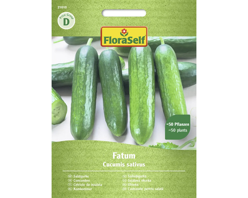 Salatgurke Fatum FloraSelf samenfestes Saatgut Gemüsesamen