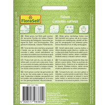 Gurkensamenpackung Fatum Cucumis sativus