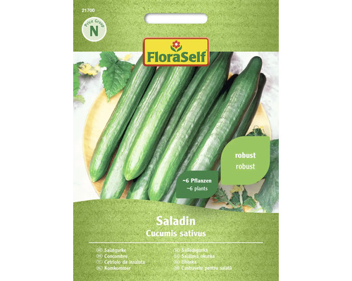 Salatgurke Saladin FloraSelf F1 Hybride Gemüsesamen