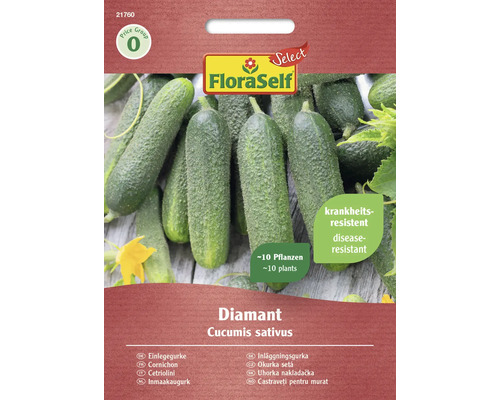 Einlegegurke Diamant FloraSelf Select F1 Hybride Gemüsesamen