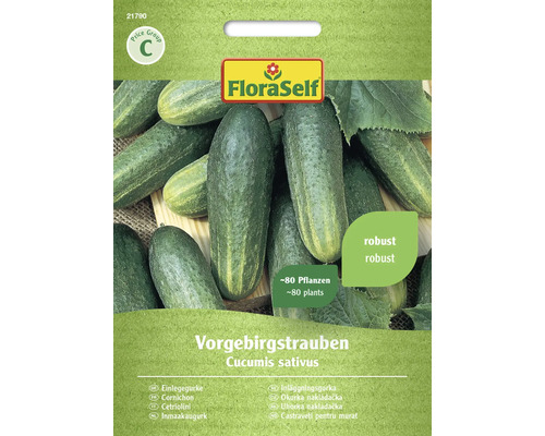 Cornichon Vorgebirgstrauben FloraSelf semences non-hybrides graines de légumes Graines FloraSelf Vorgebirgstrauben, environ 80 plantes