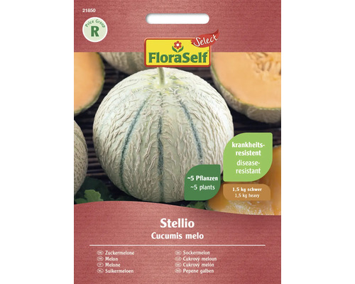 Melon FloraSelf Select graines de légumes