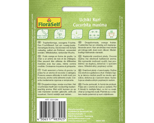 Paquet de graines de courge Uchiki Kuri de l''espèce Cucurbita maxima