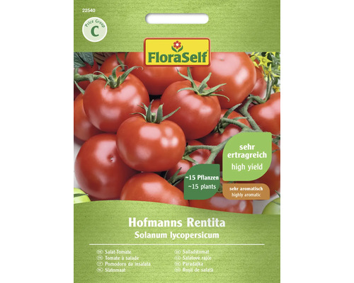 Tomate pour salade Hofmanns Rentita FloraSelf semence stable graines de légumes Paquet de graines de tomates à salade FloraSelf Hofmanns Rentita