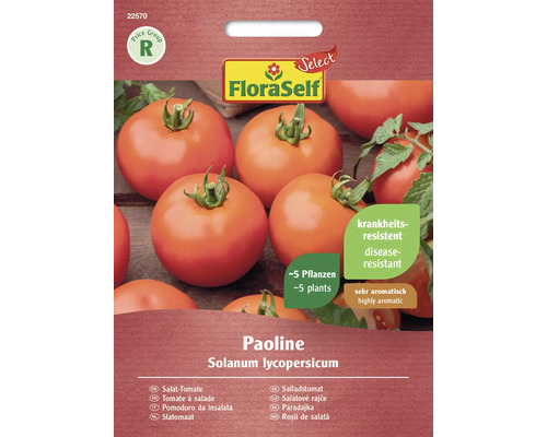 Salat Tomate FloraSelf Select F1 Hybride Gemüsesamen