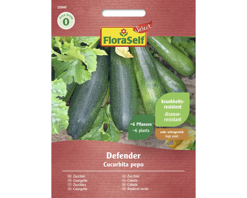 Courgette Defender FloraSelf Select F1 hybride graines de légumes