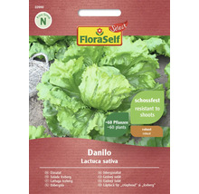 FloraSelf Danilo Eisbergsalat Saatgutpackung, ausreichend für circa 60 Pflanzen