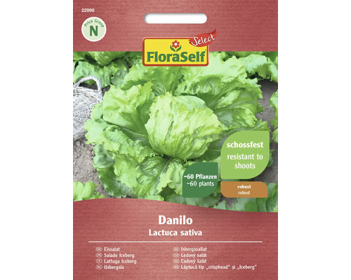 Laitue Danilo FloraSelf Select graines fixées graines de salade