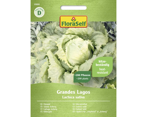 Laitue iceberg Grandes Lagos FloraSelf graines fixées graines de salade