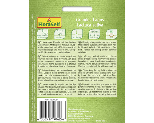 Laitue iceberg Grandes Lagos Sachet de graines
