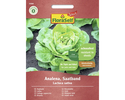 Laitue pommée FloraSelf Select graines de légumes graines de salade