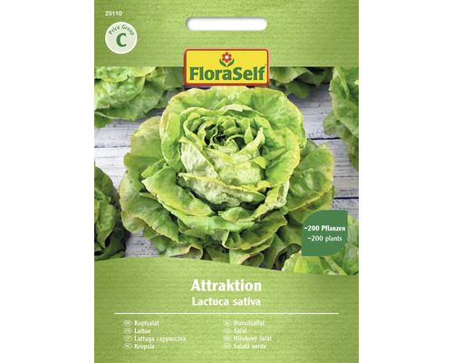 Kopfsalat Attraktion FloraSelf Samenfestes Saatgut Salatsamen