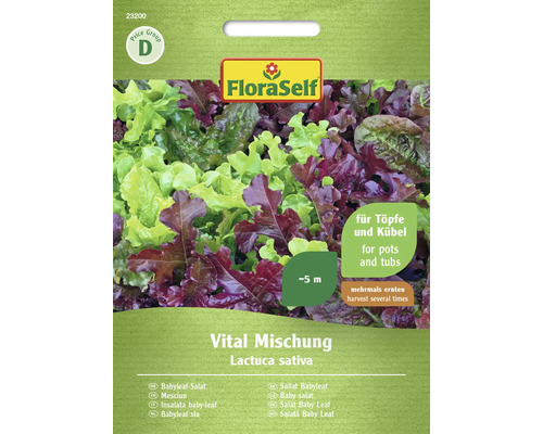 Schnittsalat/Pflücksalat FloraSelf Samenfestes Saatgut Salatsamen