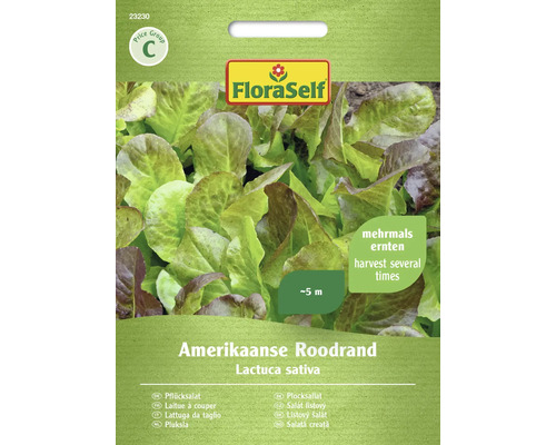 Laitue à couper Amerikaanse Roodrand FloraSelf graines fixées graines de salade FloraSelf Laitue à couper américaine Roodrand Sachet de graines