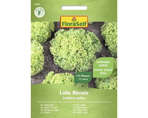 Laitue/Laitue à couper Lollo Bionda FloraSelf graines fixées graines de salade