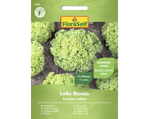 Schnittsalat/Pflücksalat Lollo Bionda FloraSelf Samenfestes Saatgut Salatsamen FloraSelf Lollo Bionda Pflücksalat Samen für circa 75 Pflanzen