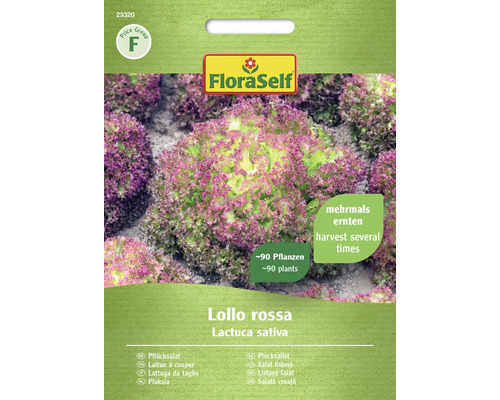 Schnittsalat/Pflücksalat Lollo rossa FloraSelf Samenfestes Saatgut Salatsamen Samenpackung für Lollo Rossa Pflücksalat von FloraSelf, ausreichend für circa 90 Pflanzen