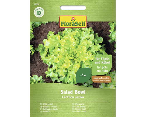 Schnittsalat/Pflücksalat Salad Bowl FloraSelf Samenfestes Saatgut Salatsamen