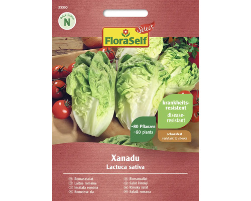 Laitue romaine Xanadu FloraSelf Select graines fixées graines de salade