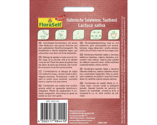 Mélange de salades italiennes en ruban avec radicchio, chicorée et plantain corne-de-cerf