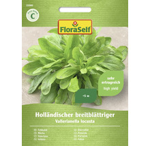 Samenpackung Holländischer breitblättriger Feldsalat der Marke FloraSelf