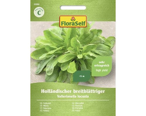 Feldsalat Holländischer breitblättrig FloraSelf Samenfestes SaatgutSalatsamen Samenpackung Holländischer breitblättriger Feldsalat der Marke FloraSelf