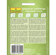 Samenpackung holländischer breitblättriger Feldsalat Vallerianella locusta von FloraSelf