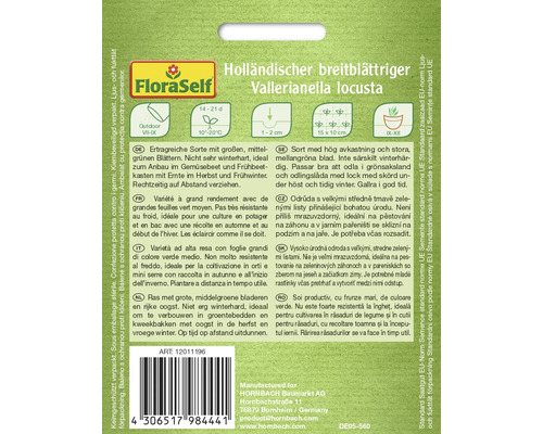 Paquet de graines de mâche à larges feuilles hollandaise Vallerianella locusta de FloraSelf