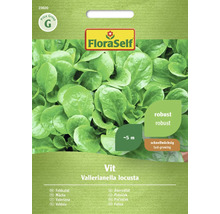 FloraSelf Feldsalat Vit, Vallerianella locusta Saatgutpackung