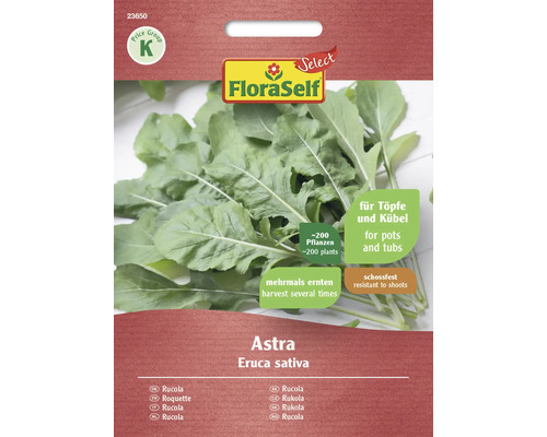 Roquette Astra FloraSelf Select graines de salade fixées