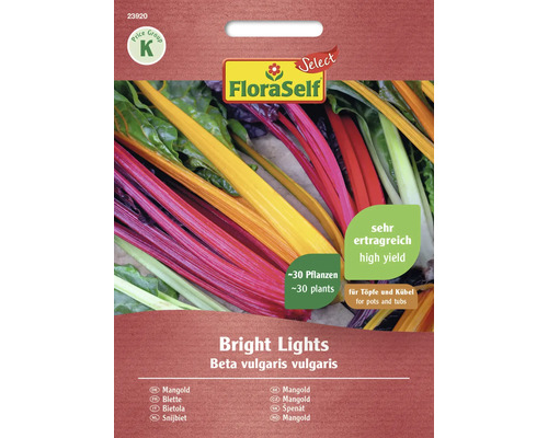 Blette (poirée) Bright Lights FloraSelf Select graines fixées graines de légumes