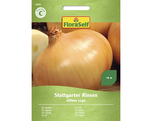 Oignon Stuttgarter Riesen FloraSelf semence stable graines de légumes