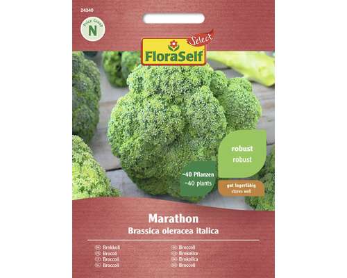 Brokkoli Marathon FloraSelf Select F1 Hybride Gemüsesamen