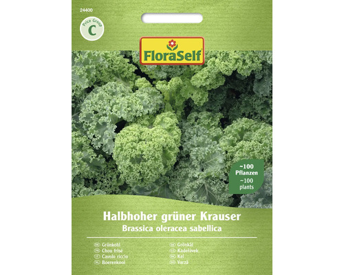 Chou frisé Halbhoher grüner Krauser FloraSelf semence stable graines de légumes Sachet de graines de chou frisé vert demi-nain