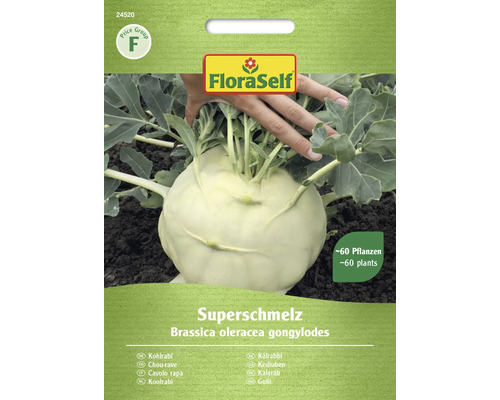 Chou-rave Superschmelz FloraSelf semence stable graines de légumes