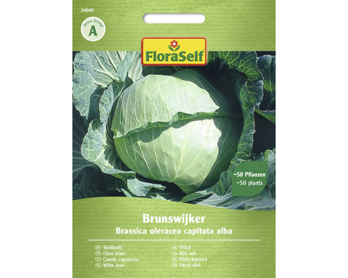 Chou cabus de Brunswick FloraSelf semence stable graines de légumes