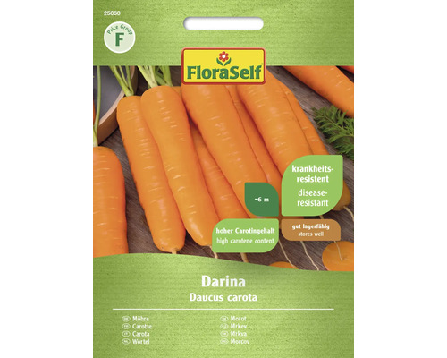 Carottes Darina FloraSelf graines fixées graines de légumes