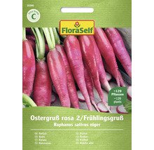 FloraSelf Radieschen Ostergruß rosa 2 / Frühlingsgruß Samenpackung