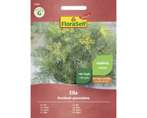 Aneth Ella FloraSelf Select graines fixées graines de fines herbes