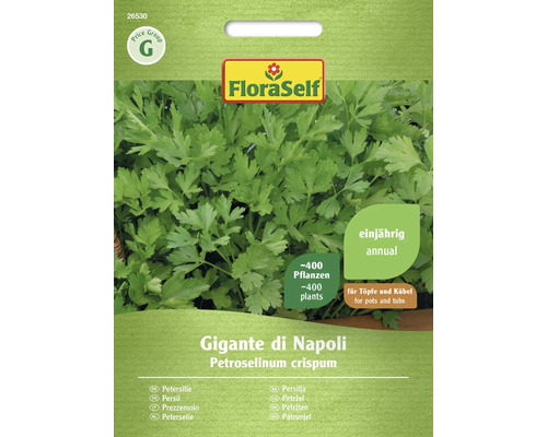 Persil Gigante di Napoli FloraSelf graines fixées graines de fines herbes